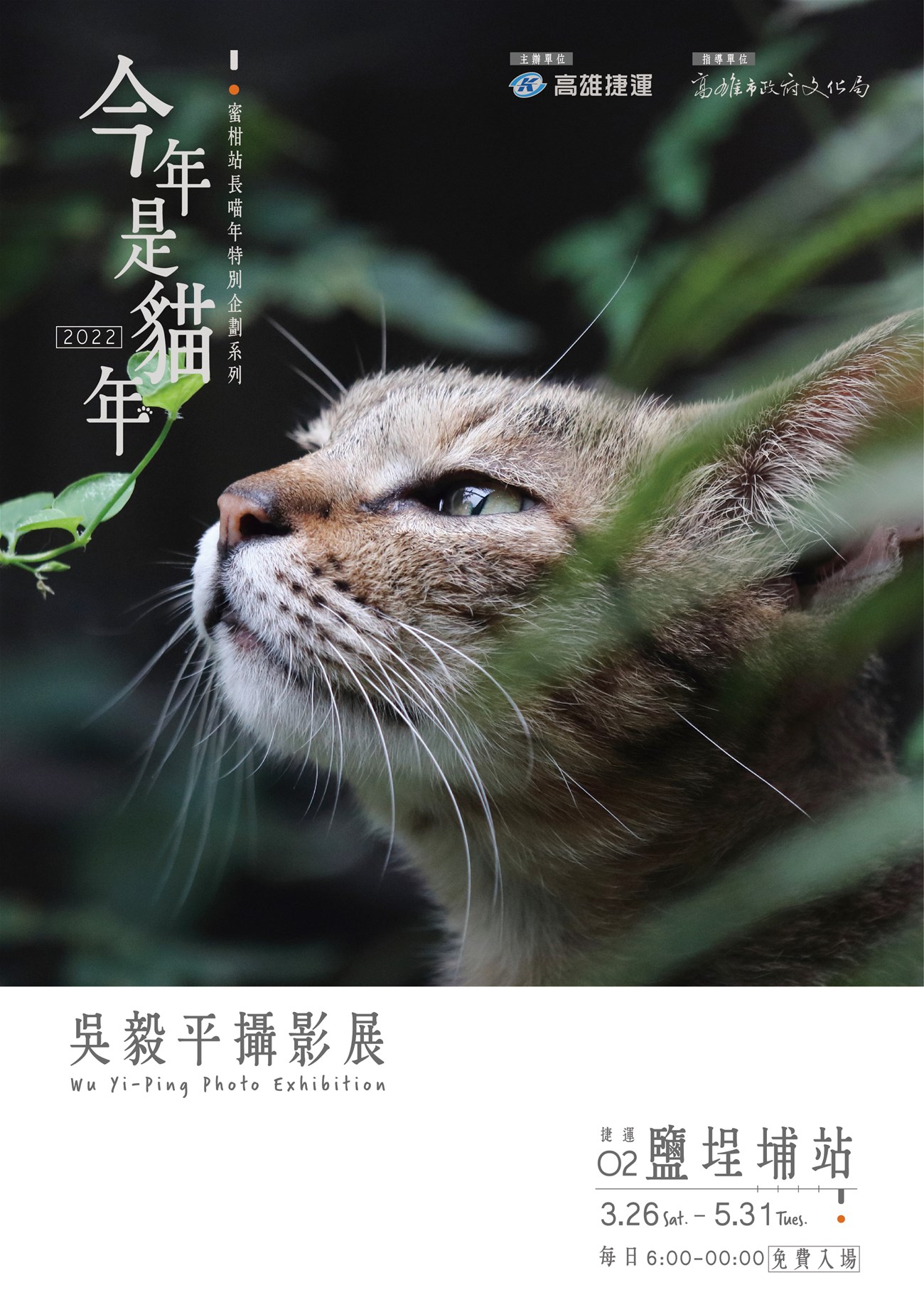 今年是貓年-吳毅平攝影展